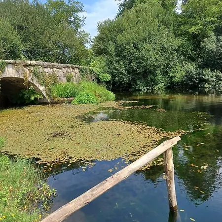 Отель Leonchic - Com Piscina De Agua Salgada Барселуш