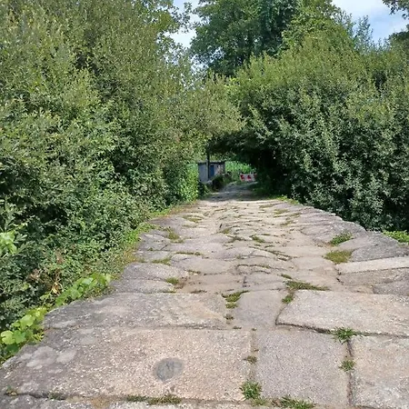 Leonchic - Com Piscina De Agua Salgada Отель Барселуш