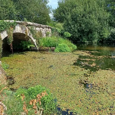 Leonchic - Com Piscina De Agua Salgada