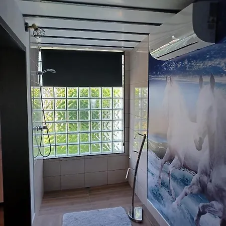 Leonchic - Com Piscina De Agua Salgada * بارسيلوس