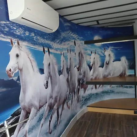 Hotel Leonchic - Com Piscina De Agua Salgada *