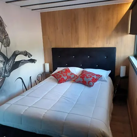 Leonchic - Com Piscina De Agua Salgada Barcelos