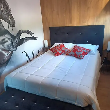 Hotel Leonchic - Com Piscina De água Salgada Barcelos