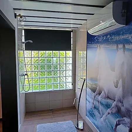 Leonchic - Com Piscina De Agua Salgada Otel *