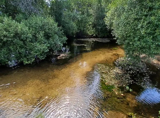 מלון Leonchic - Com Piscina De Agua Salgada