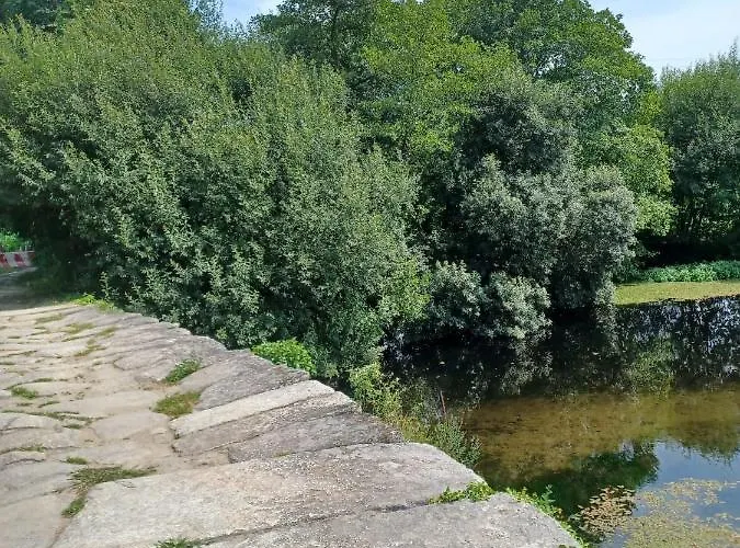 מלון Leonchic - Com Piscina De Agua Salgada ברסלוס