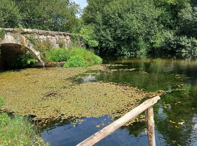 מלון Leonchic - Com Piscina De Agua Salgada ברסלוס
