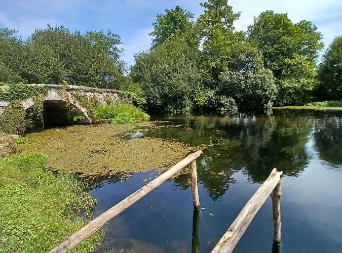 מלון Leonchic - Com Piscina De Agua Salgada *