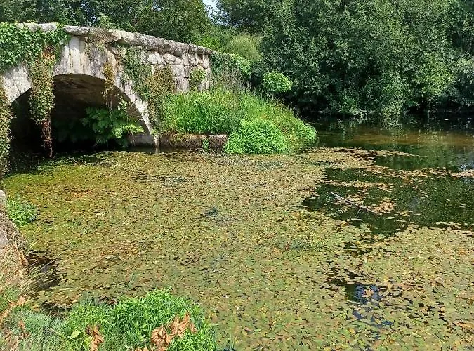 Leonchic - Com Piscina De Agua Salgada