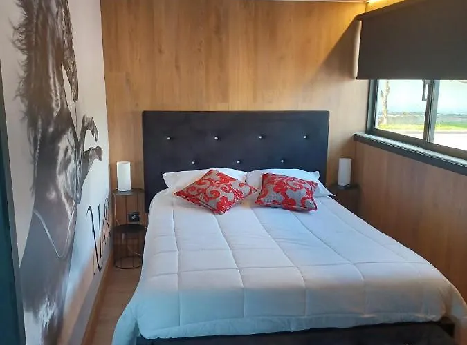 Leonchic - Com Piscina De Agua Salgada