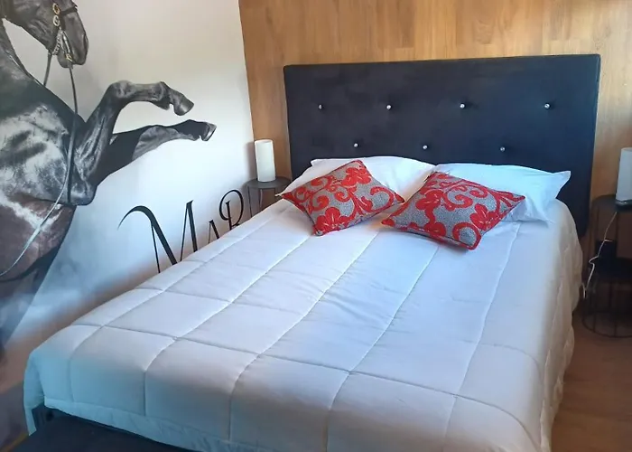 מלון Leonchic - Com Piscina De Agua Salgada ברסלוס